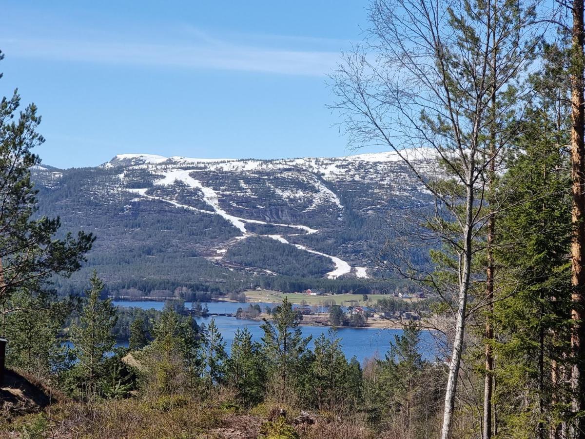 Holiday Cabin In Beautiful Surroundings Vrådal Esterno foto